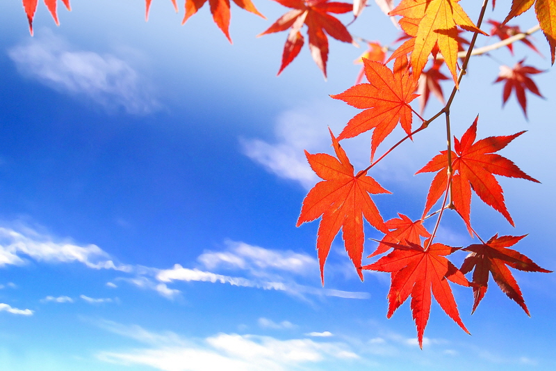 최영애 국가인권위원장 후보자 