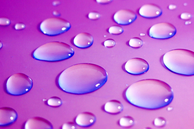 최영애 국가인권위원장 후보자 